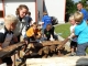 2. Reichenbacher Vielseitigkeits-Mannschafts-Meisterschaft am 12. Juli 2014