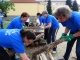 2. Reichenbacher Vielseitigkeits-Mannschafts-Meisterschaft am 12. Juli 2014
