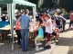 4. Reichenbacher Vielseitigkeits-Mannschaft-Meisterschaft - die Bilder (Foto: L. Grünig)