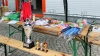 5. Reichenbacher Vielseitigkeits Mannschafts Meisterschaft am 17. Juni 2017 (Foto: St. Aey)