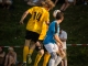 60 Jahre Fußball in Reichenbach - SV Reichenbach Allstar Team - Dynamo Dresden, Foto: Mario Pohl