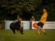 60 Jahre Fußball in Reichenbach - SV Reichenbach Allstar Team - Dynamo Dresden, Foto: Mario Pohl