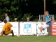 60 Jahre Fußball in Reichenbach - SV Reichenbach Allstar Team - Dynamo Dresden Traditionsmannschaft und After-Show-Party mit Fisherman’s Band und DJ Marco Pogo am 4. Juli 2015