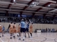 Basketballfreundschaftsspiel - SV Reichenbach vs Görlitzer BC Squirrels am 4. Februar 2017