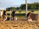 Beach-Soccer-Weekend - am 19. Juni 2010