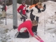 Biathlon 2009