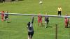 Frauenfußball - SpG SV Reichenbach/SV Königshain/Holtendorfer SV vs Serkowitzer FSV am 31. Mai 2026, Bild: Gerd Fechner