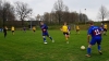 Fußball-2. Männer – SpG SV Reichenbach/NFV Gelb-Weiß Görlitz : SV Meuselwitz (0:3) am 13. April 2019