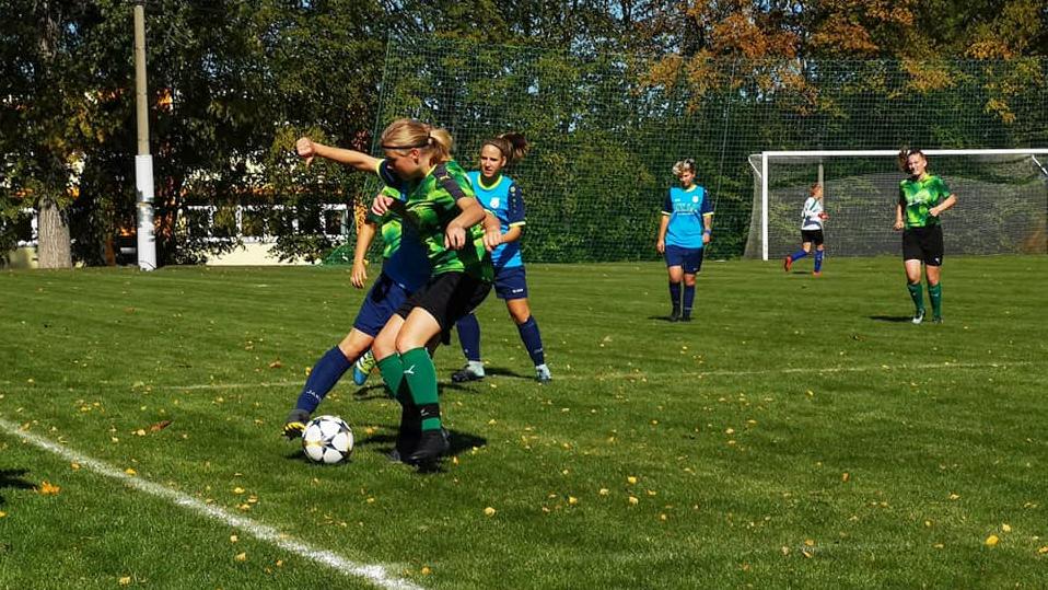 SpG Johannstadt 2./ Lichtenberg - SV Reichenbach 1:0 (1:0)