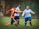 Fußball-Frauen – SpG Lichtenberg/Dittmannsdorf : SpG SV Reichenbach (5:0) am 24. November 2013, Fotos: Mario Pohl