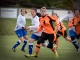 Fußball-Frauen – SpG Lichtenberg/Dittmannsdorf : SpG SV Reichenbach (5:0) am 24. November 2013, Fotos: Mario Pohl
