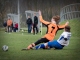 Fußball-Frauen – SpG Lichtenberg/Dittmannsdorf : SpG SV Reichenbach (5:0) am 24. November 2013, Fotos: Mario Pohl