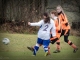 Fußball-Frauen – SpG Lichtenberg/Dittmannsdorf : SpG SV Reichenbach (5:0) am 24. November 2013, Fotos: Mario Pohl