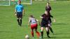 Fußball-Frauen SpG Reichenbach/Königshain vs Post SV Dresden (2:0) am 14. April 2024, Foto: Gerd Fechner