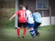 Fußball-Frauen – SpG SV Reichenbach : SV Eintracht Dobritz (4:0) am 17. November 2013, Fotos: Mario Pohl