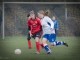 Fußball-Frauen – SpG SV Reichenbach : SV Eintracht Dobritz (4:0) am 17. November 2013, Fotos: Mario Pohl