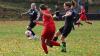 Fußball-Frauen - SpG SV Reichenbach/SV Königshain/Holtendorfer SV vs FSV Lokomotive Dresden (4:0) am 27. Oktober 2024, Fotos: Gerd Fechner