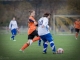 Fußball-Frauen – SV Johannstadt 90 2 : SpG SV Reichenbach (3:4) am 10. November 2013, Fotos: Mario Pohl