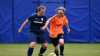 Fußball-Frauen - SV Johannstadt vs SpG SV Reichenbach/SV Königshain/Holtendorfer SV (2:2) am 18. Mai 2025, Foto: pictures_by_michii