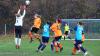 Fußball-Frauen – SV Reichenbach : SV Johannstadt 90 2/Lichtenberg (3:2) am 17. November 2019, Foto: Gerd Fechner