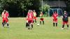 Fußball-Frauen - SV Reichenbach : TSV 1861 Spitzkunnersdorf 2. (4:1) am 4. Juni 2023, Foto: Gerd Fechner