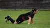 Fußball-Frauen - Vorbereitungsspiel - SpG Reichenbach/Königshain/Holtendorf vs SpG.Thonberger SC/SV Königsbrück/Laußnitz/SV Grün Weiß Elstra (3:2) am 04. August 2024, Foto: M. Witzsche