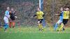 Fußball-Männer -SV Reichenbach : TSG Hainewalde (2:1) am 11. November 2023, Foto: Gerd Fechner