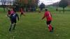 Fußball-Männer - TSV 1861 Spitzkunnersdorf : SV Reichenbach (3:2) am 04. November 2023