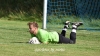 Fußball-Männer - Vorbereitungsspiel SV Reichenbach vs SV Arnsdorf-Hilbersdorf am 10. August 2024, Fotos: M. Witzsche