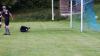 Fußball-Männner - SV Reichenbach vs SV Neueibau 2. (6:0) am 28. Mai 2025, Foto: Gerd Fechner