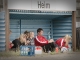 Fußball-Frauen – Hoyerswerdaer SV 1919 : SpG SV Reichenbach (5:2) am 22. Juni 2014, Foto: Mario Pohl