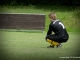 Nachholespiel–SV Reichenbach FSV Lokomotive Dresden (4:1)-Foto: Mario Pohl