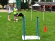 Nachwuchs-Fußballcamp 2014