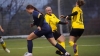 Post SV Dresden vs. SpG Reichenbach/Königshain/Holtendorf 0:3 (0:2)