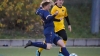 Post SV Dresden vs. SpG Reichenbach/Königshain/Holtendorf 0:3 (0:2)
