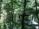 Samstagstraining im Abenteuer-Kletterwald Zittauer Gebirge