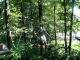 Samstagstraining im Abenteuer-Kletterwald Zittauer Gebirge