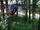 Samstagstraining im Abenteuer-Kletterwald Zittauer Gebirge