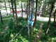 Samstagstraining im Abenteuer-Kletterwald Zittauer Gebirge