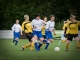 Fußball-Frauen – SpG SV Reichenbach  : FSV Lokomotive Dresden am 22. September 2013 - Foto: Mario Pohl