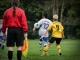 Fußball-Frauen – SpG SV Reichenbach : FSV Lokomotive Dresden am 22. September 2013 - Foto: Mario Pohl
