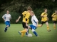 Fußball-Frauen – SpG SV Reichenbach  : FSV Lokomotive Dresden am 22. September 2013 - Foto: Mario Pohl