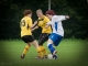 Fußball-Frauen – SpG SV Reichenbach  : FSV Lokomotive Dresden am 22. September 2013 - Foto: Mario Pohl