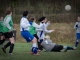 Fußball-Frauen – SpG SV Reichenbach : Radebeuler BC (4:3) am 1. Dezember 2013, Fotos: Mario Pohl
