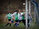 Fußball-Frauen – SpG SV Reichenbach : Radebeuler BC (4:3) am 1. Dezember 2013, Fotos: Mario Pohl