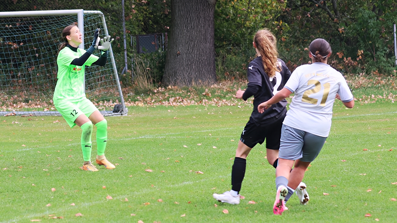 SpG SV Reichenbach/Seer Wölfe F.C./Holtendorfer SV vs 1. FFC Fortuna Dresden II U23 (0:1), Bild: Gerd Fechner