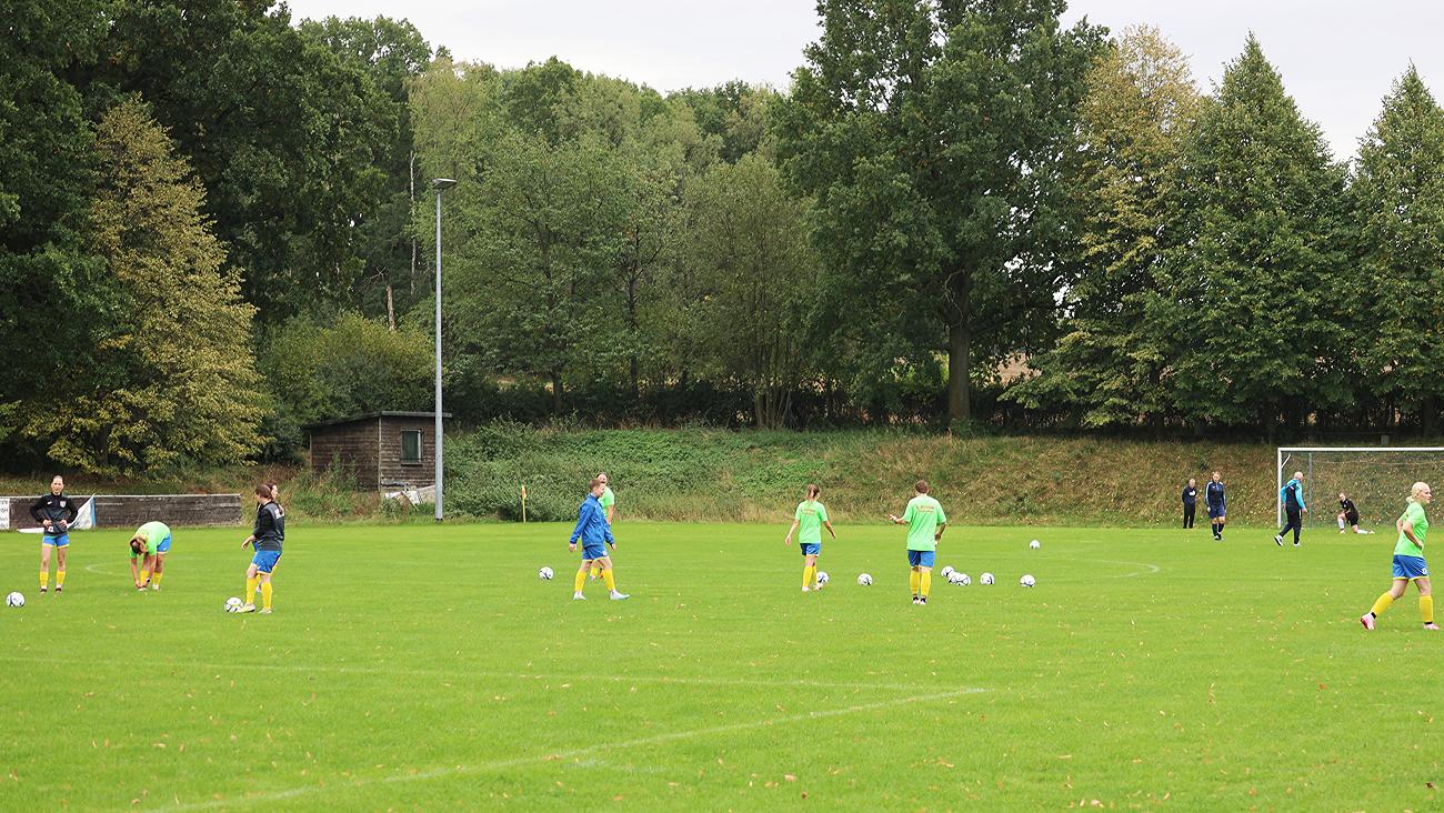 SpG SV Reichenbach/Seer Wölfe F.C./Holtendorfer SV vs Heidenauer SV (5:2), Bilder: Gerd Fechner