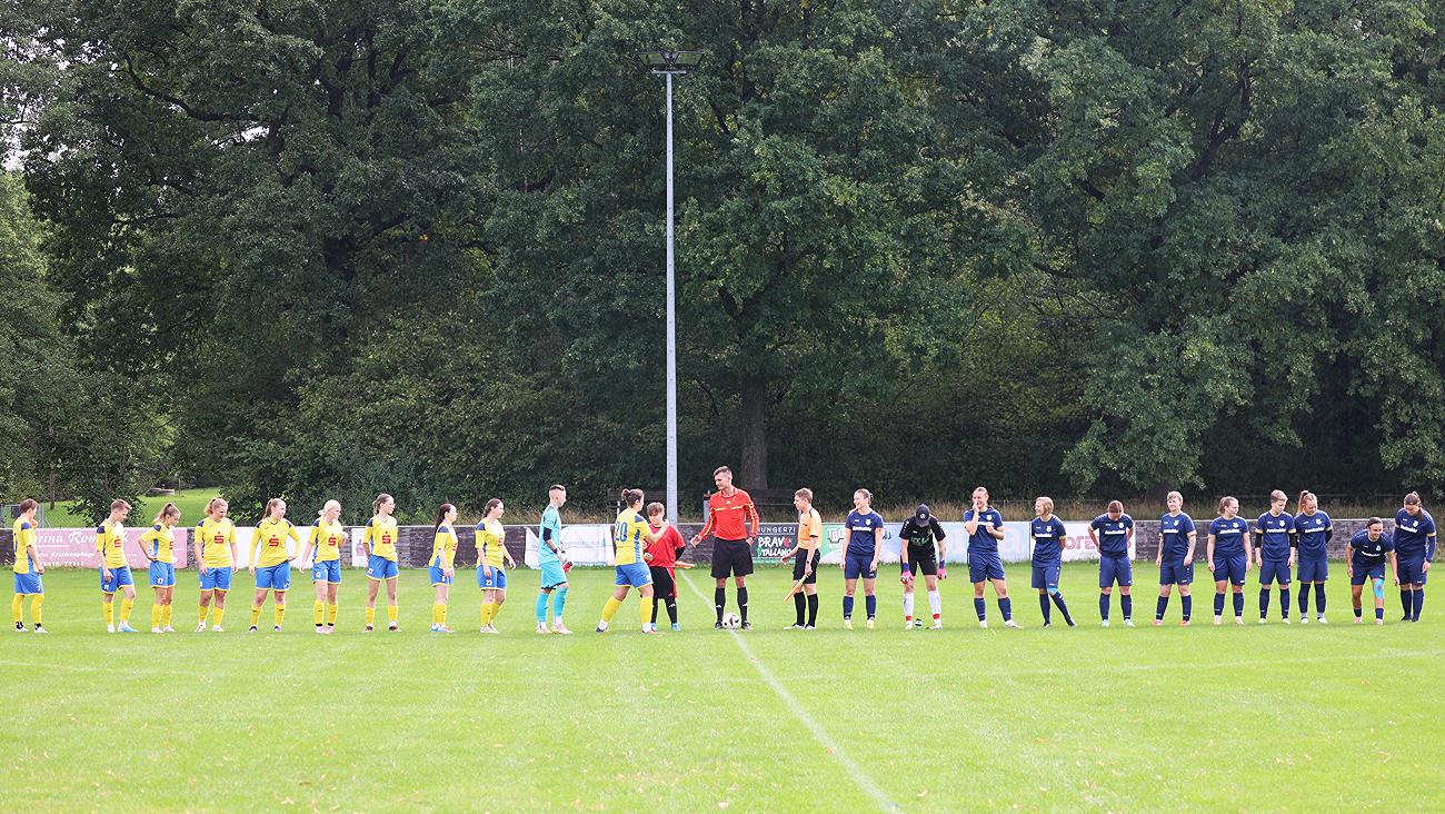 SpG SV Reichenbach/Seer Wölfe F.C./Holtendorfer SV vs Heidenauer SV (5:2), Bilder: Gerd Fechner