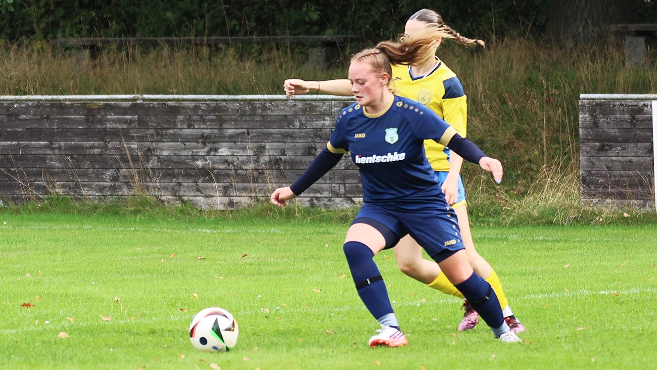 SpG SV Reichenbach/Seer Wölfe F.C./Holtendorfer SV vs Heidenauer SV (5:2), Bilder: Gerd Fechner