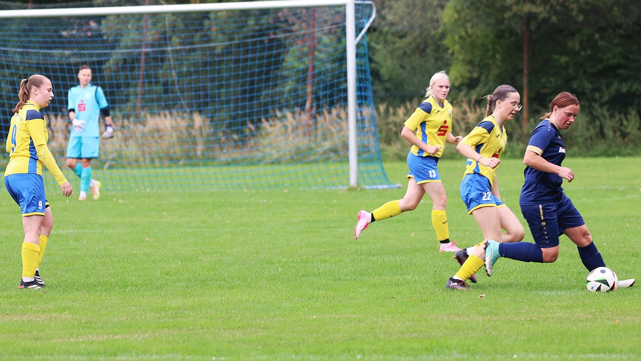 SpG SV Reichenbach/Seer Wölfe F.C./Holtendorfer SV vs Heidenauer SV (5:2), Bilder: Gerd Fechner